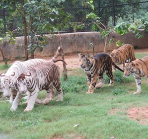 Nandan Kanan National Park