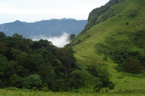 Coorg Hill Station