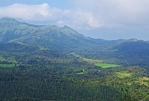 Jenukal Gudda, Karnataka