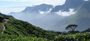 Munnar, Kerala