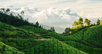 Munnar Hills Tour Package