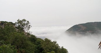 Ooty Coorg Hills with Wayanad Tour