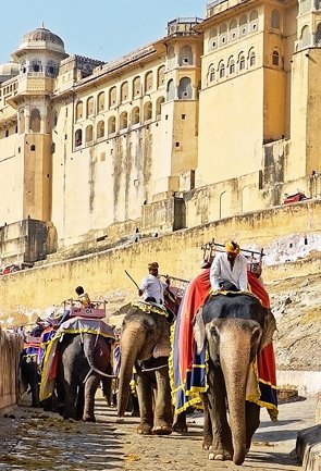 Rajasthan Cultural Tour