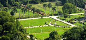 Gulab Bagh and Zoo, Udaipur