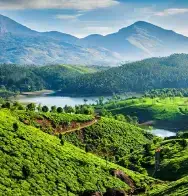 Wayanad