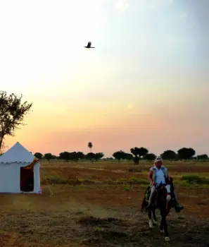 Rajasthan Horse Safari Tour