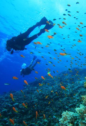 Scuba Diving Andaman