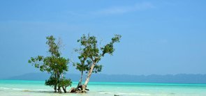 Vijay Nagar Beach Andaman