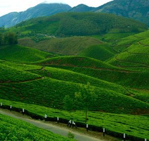 Kerala Hill Station Packages