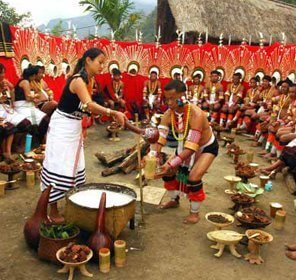 Hornbill Festival Tour