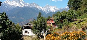 Borong, Ravangla