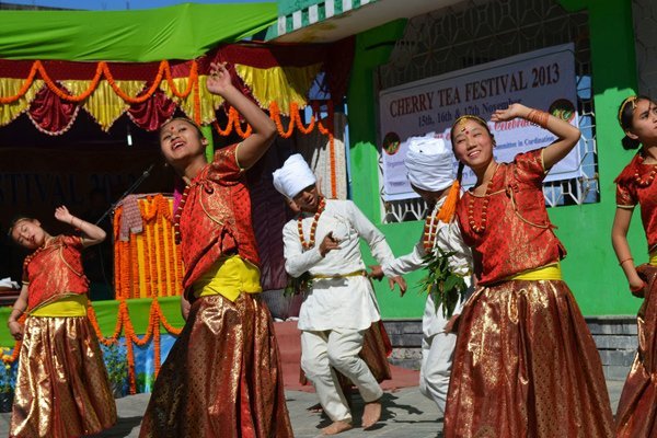 Cherry Tea Festival Temi, Sikkim