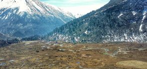 Chopta Valley, Lachen