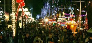 Christmas Festival, Sikkim