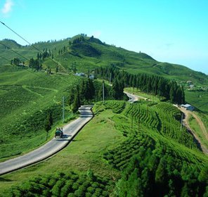 Darjeeling Gangtok Kalimpong Tour