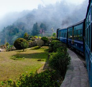 Darjeeling Gangtok with Lachung Tour