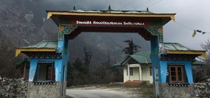 Shingba Rhododendron Sanctuary, Sikkim