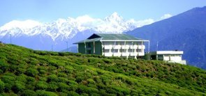 Temi Tea Estate, Ravangla