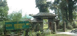 Tendong State Biodiversity Park, Namchi