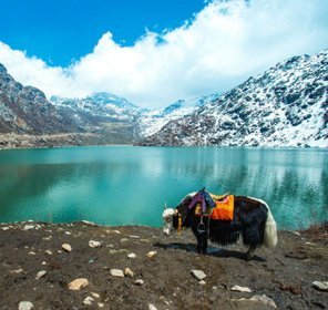 Unique Himalaya